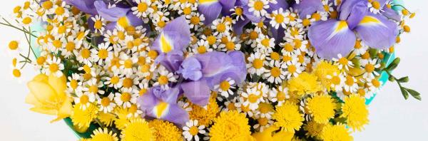 Flower Garden – Summer In A Bouquet