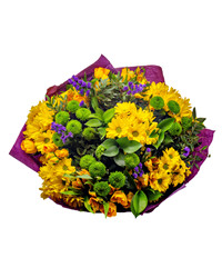 yellow and greens chrysanthemums. USA