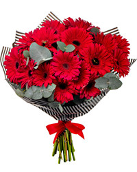 bouquet of 17 gerberas. USA