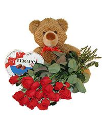 red roses with teddy and chocolates. USA