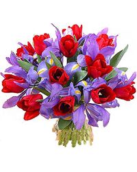 bouquet of tulips and irises. USA